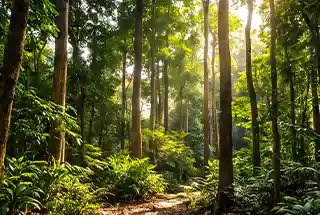 Urban Forest at Lodha Acenza